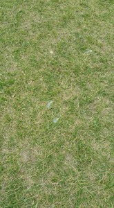 13241294_1179475518730230_5535043608362125770_n