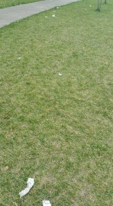 13254139_1179475565396892_2056419982272343906_n