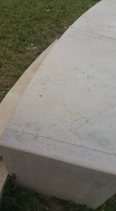 13312691_1179475662063549_75737691819240960_n