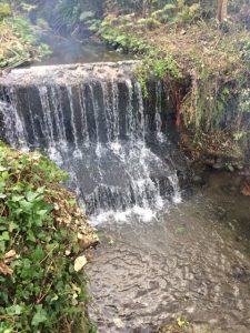 torrente-san-martino-v-c