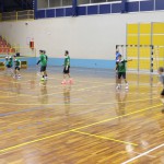 Pallamano V. Ferrara, sconfitta di misura dalla capolista Noci