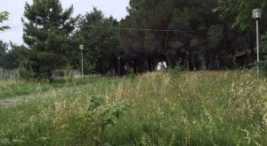 1208678_50824_san_vito