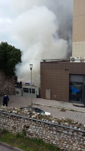 1414712_10208901029111131_387253524_n