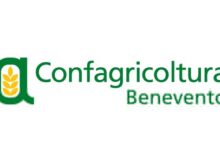 La cerealicoltura delle aree interne non è più sostenibile. Serve una nuova strategia di sviluppo