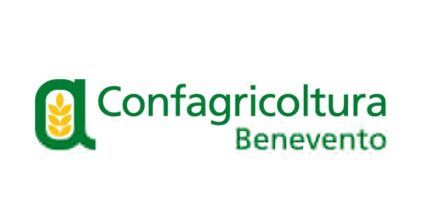 La cerealicoltura delle aree interne non è più sostenibile. Serve una nuova strategia di sviluppo