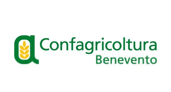La cerealicoltura delle aree interne non è più sostenibile. Serve una nuova strategia di sviluppo