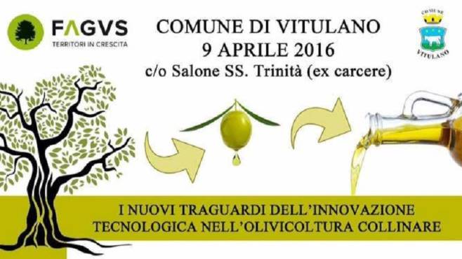 Fagus: a Vitulano un convegno sull’olivicoltura collinare