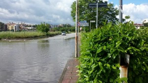 13221056_389981221172331_5232652020905029217_n