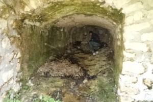 PRATA SAN MODESTO 17