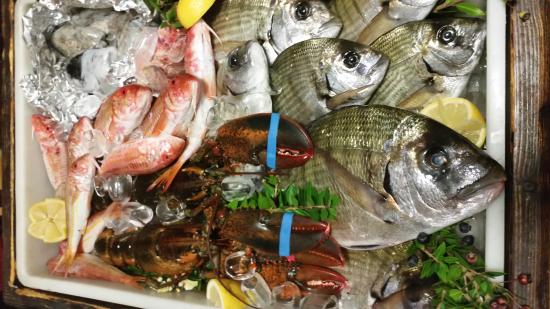 Coldiretti Impresapesca lancia l’allarme: stop ai prodotti ittici taroccati