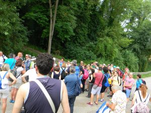 13517882_1258188194192157_50336334_o