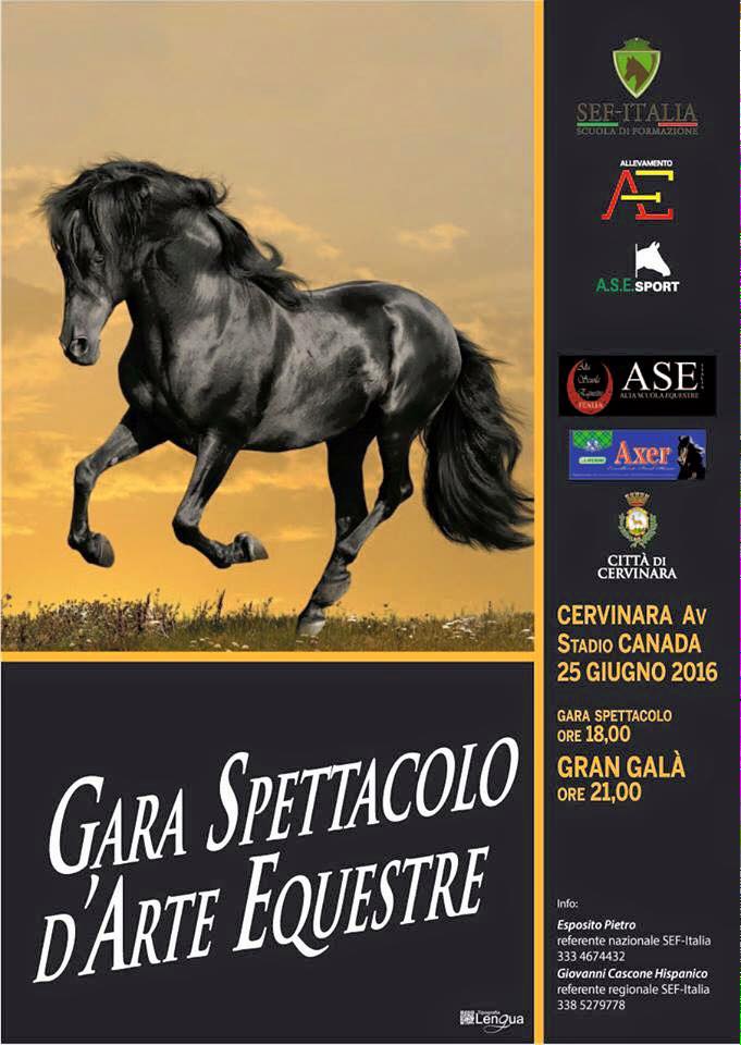 Gran galà equestre allo stadio Canada