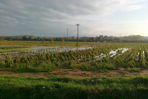 Maltempo: Coldiretti, colpisce dopo inizio luglio con 3,2 gradi in più