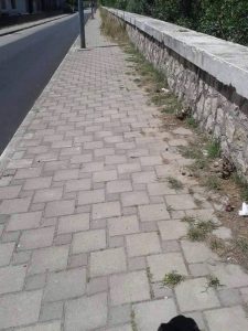 13689594_1154385141267357_382509698_n