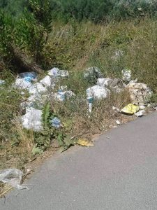 13706093_1154384937934044_264526179_n