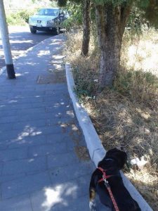 13714422_1154385144600690_913626653_n