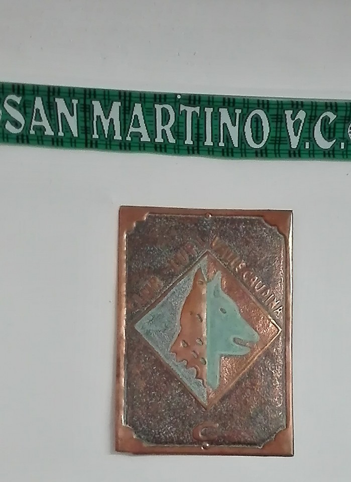San Martino V. C.| Club Lupi Valle Caudina: «Biglietto gratis per i minori con problemi economici»