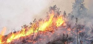 incendio_xin-400x300