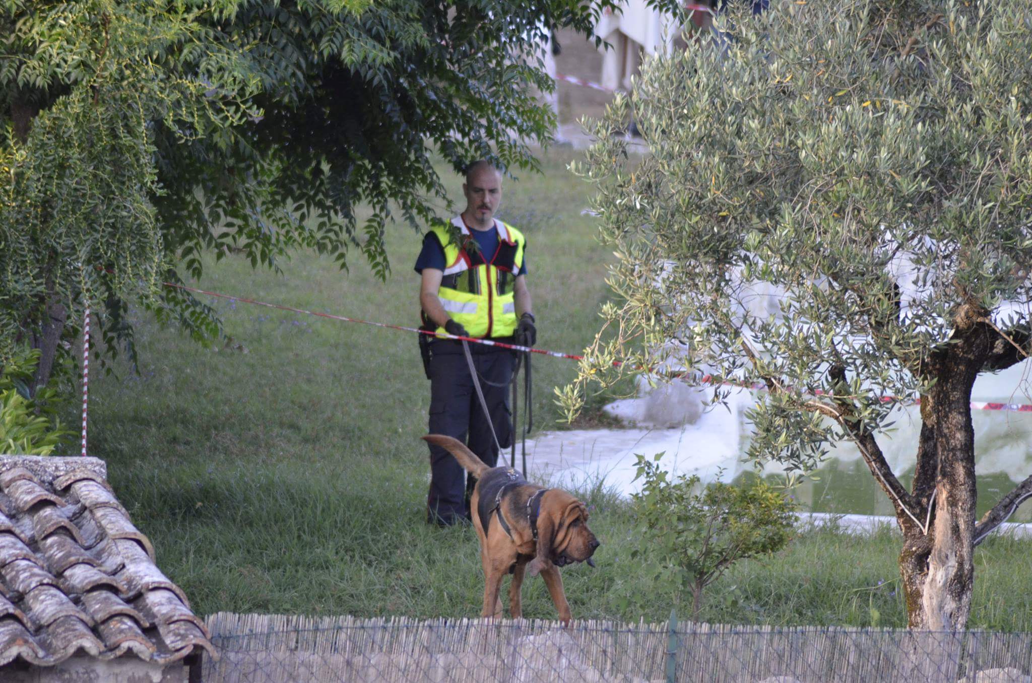 Omicidio piccola Maria: arrivano i cani molecolari