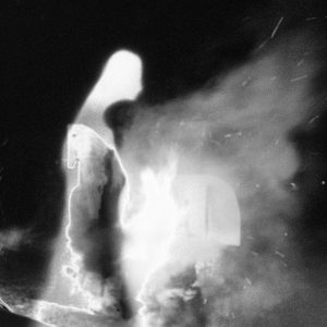 Fusione_Palmieri_Volpone