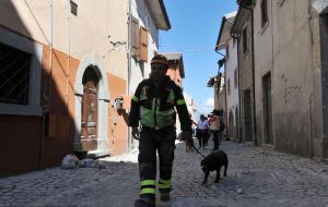 cane_amatrice_terremoto