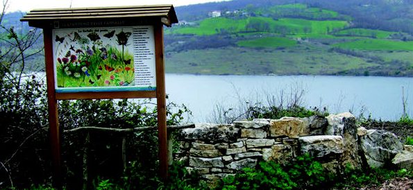 Nell’Oasi WWF una serata dedicata alle “stelle”