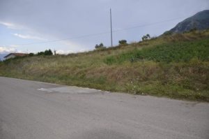 received_10202062692804542