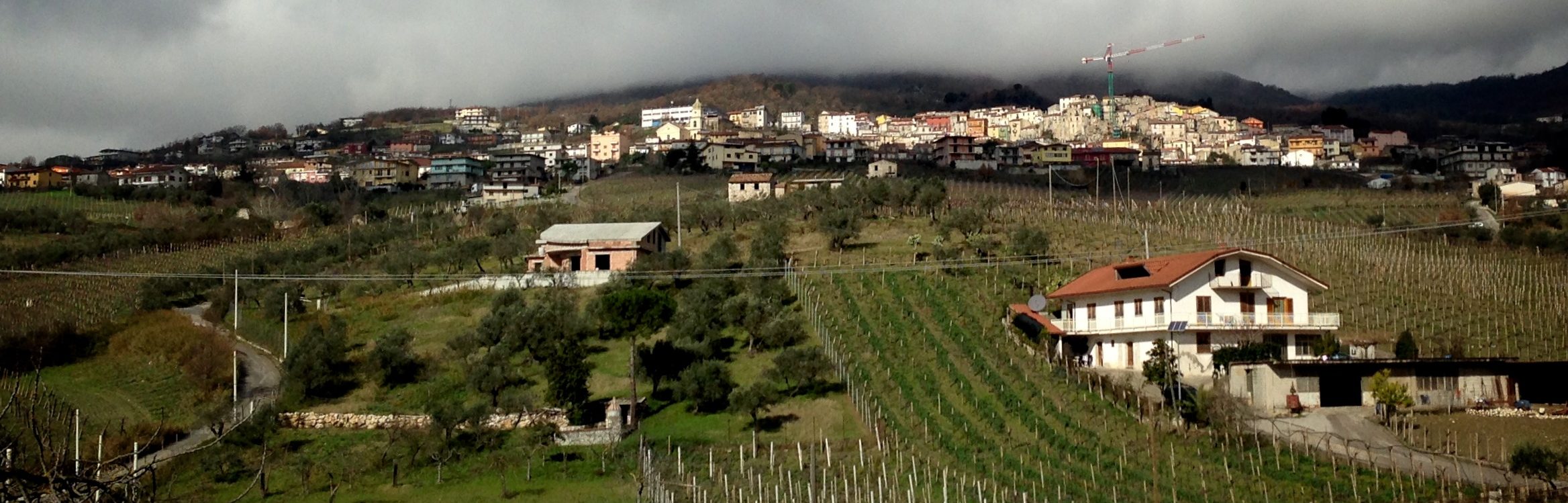 Festa di San Lorenzo: ecco il programma