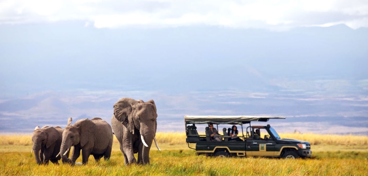 Irpino ucciso da un elefante in Kenya durante safari