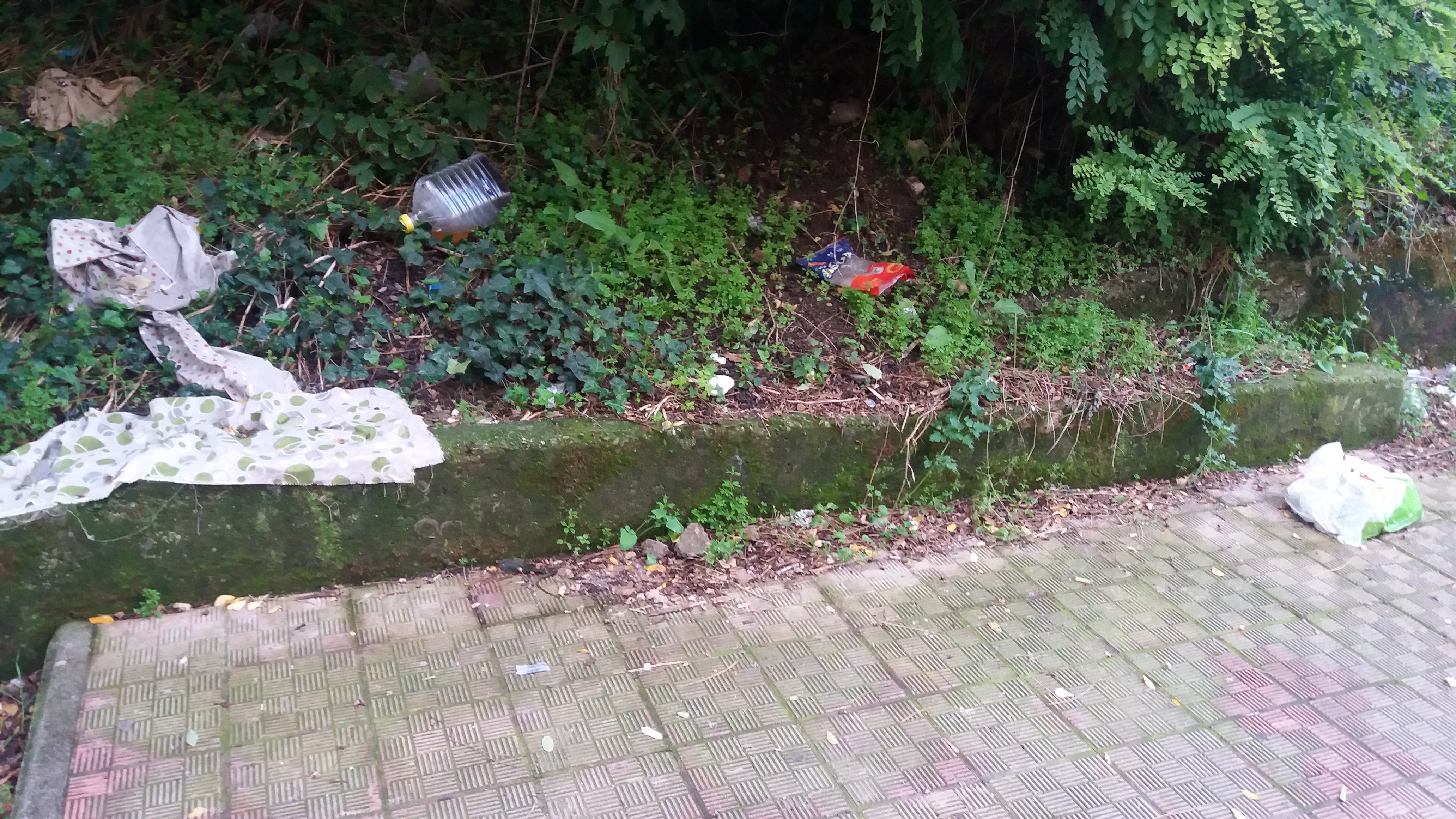 Benevento| Le scalette “dell’orrore” tra rifiuti e vegetazione alta