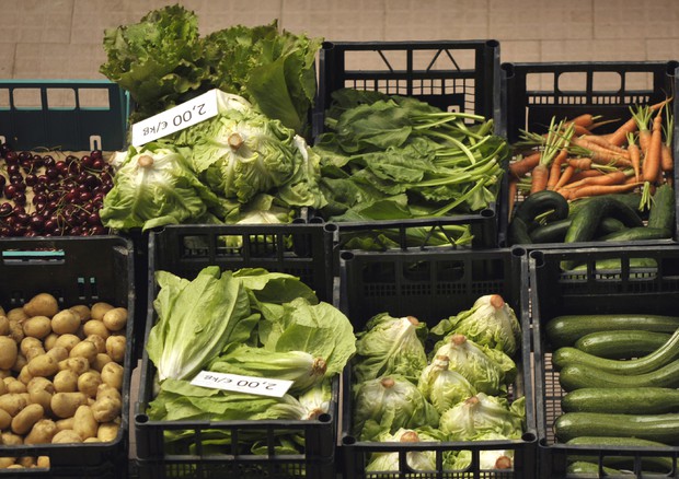 Roma| Coldiretti/Censis: cresce consumo frutta e verdura. Boom cibi senza glutine