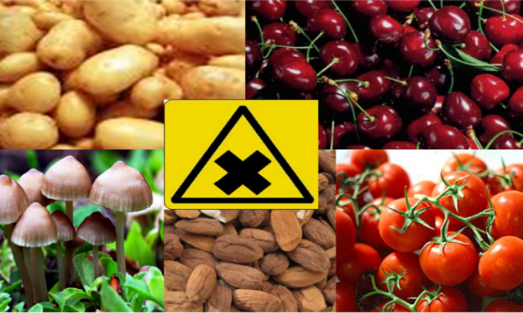 Napoli| Cibi a tavola, la lista nera della Coldiretti