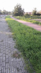 received_1154084788017222