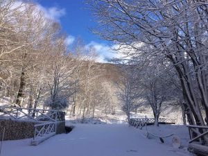 fb_img_1479198149387