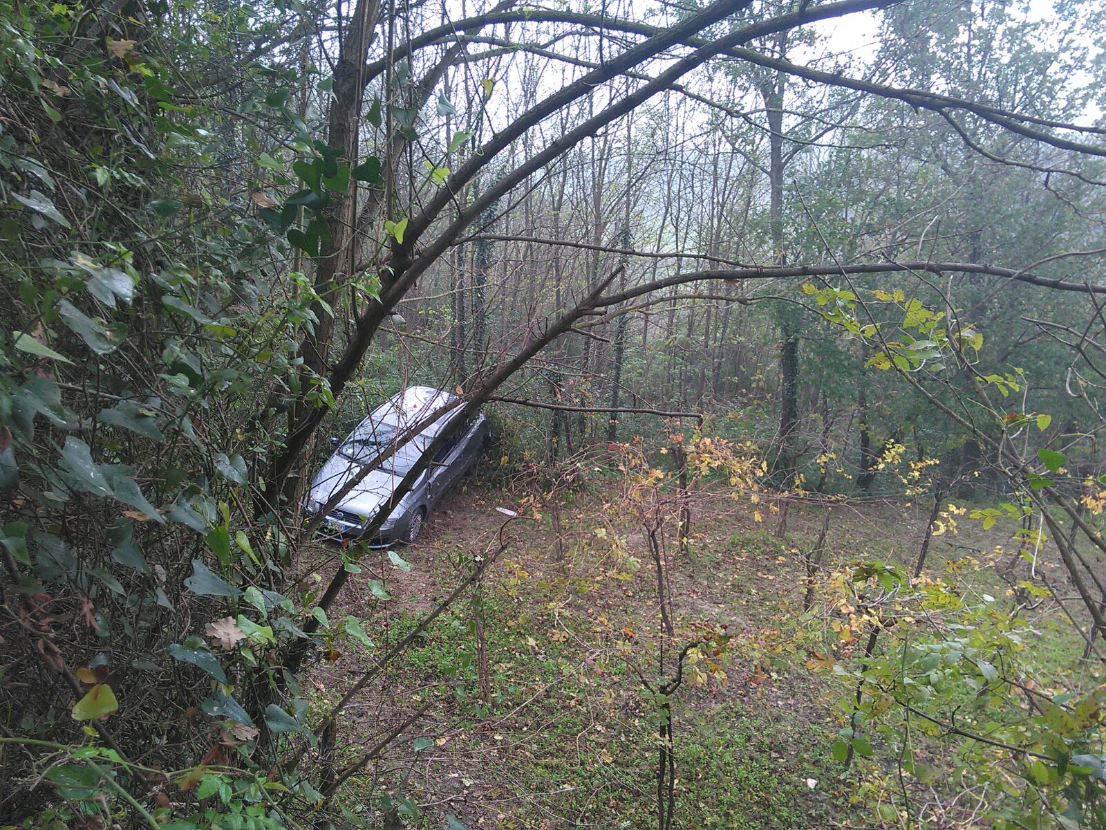 Auto finisce in una scarpata, un ferito