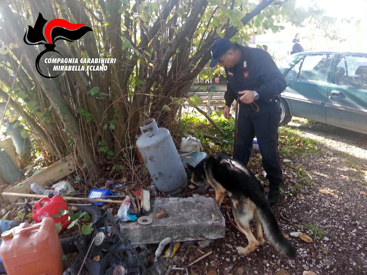 Ritrovata droga in un deposito di legna