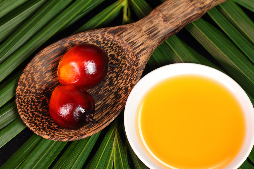 Cerreto Sannita| Alimentazione, Di Fiore: «L’olio di palma fa male»