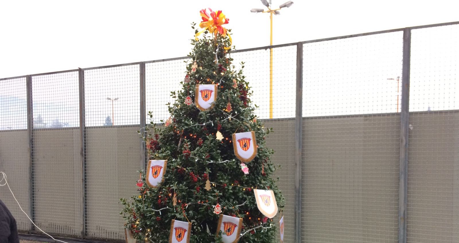 Benevento| Un grande albero di Natale unisce il Benevento Calcio, Caritas e immigrati