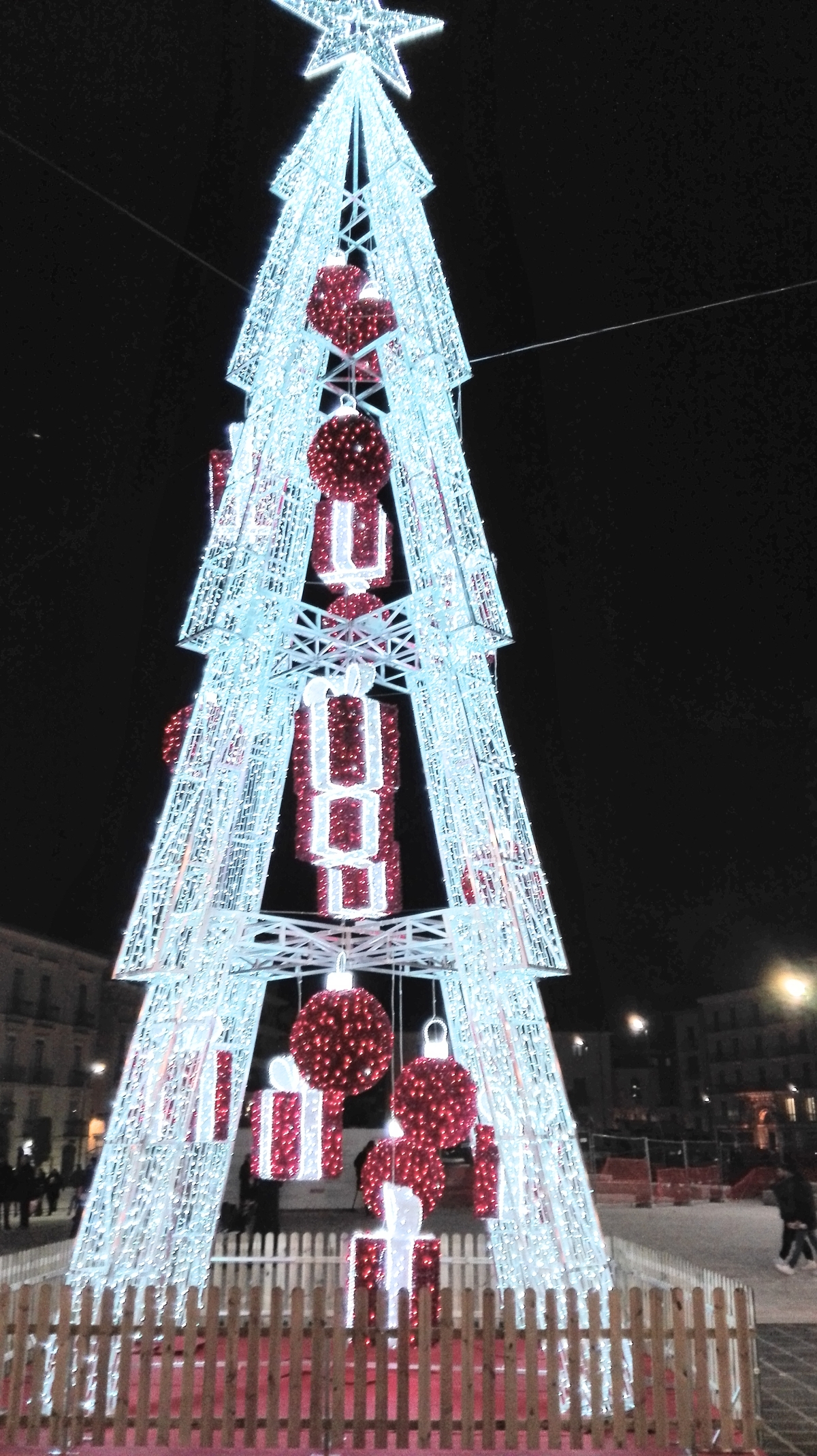 Avellino| Acceso il grande Albero di Natale in Piazza Libertà