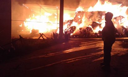 San Marco dei Cavoti| Rogo in un fienile, non si esclude il dolo