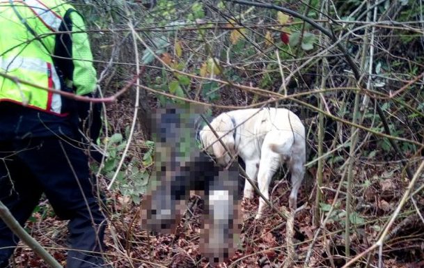 Baselice| Fine delle ricerche, trovato senza vita il corpo di Giuseppe/FOTO