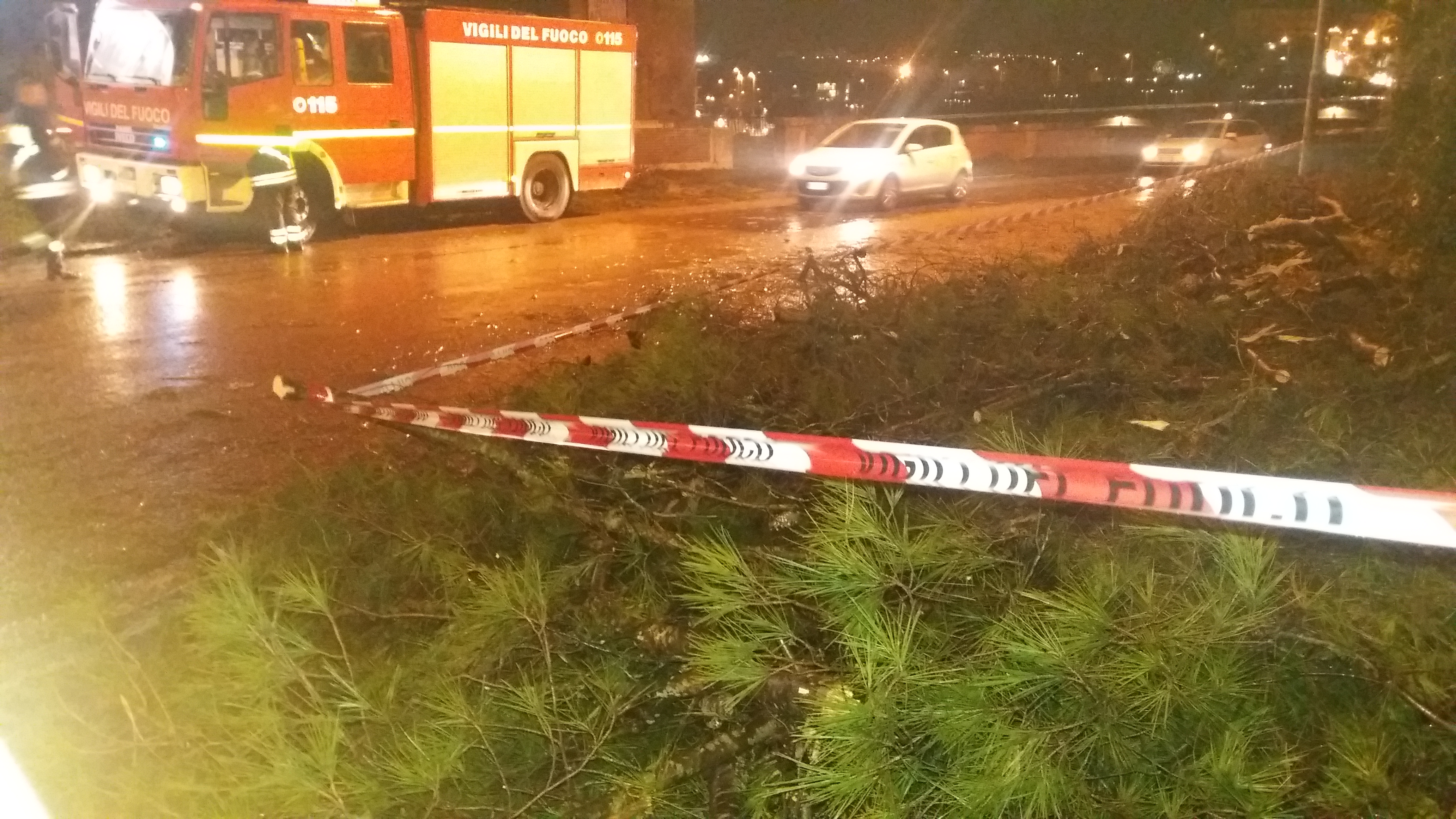 Benevento| Maltempo, forte vento spezza un albero/FOTO