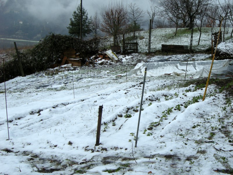 Maltempo, Coldiretti: conto danni da 14 mld in agricoltura