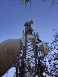 received_10208359414530923