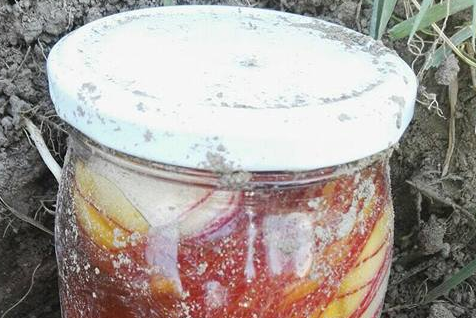 Feto nel barattolo, un orribile scherzo