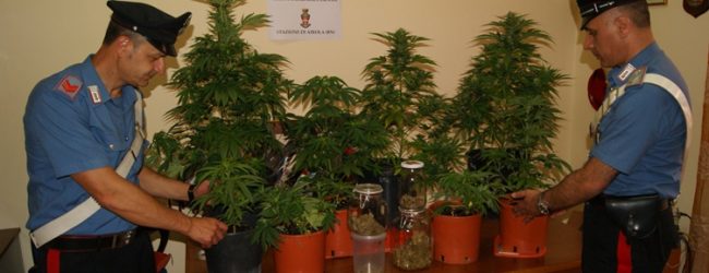 Airola| Droga in casa di un architetto