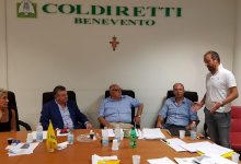 Alfieri a Benevento: “rimuovere gli ostacoli e far correre l’agricoltura della Campania”