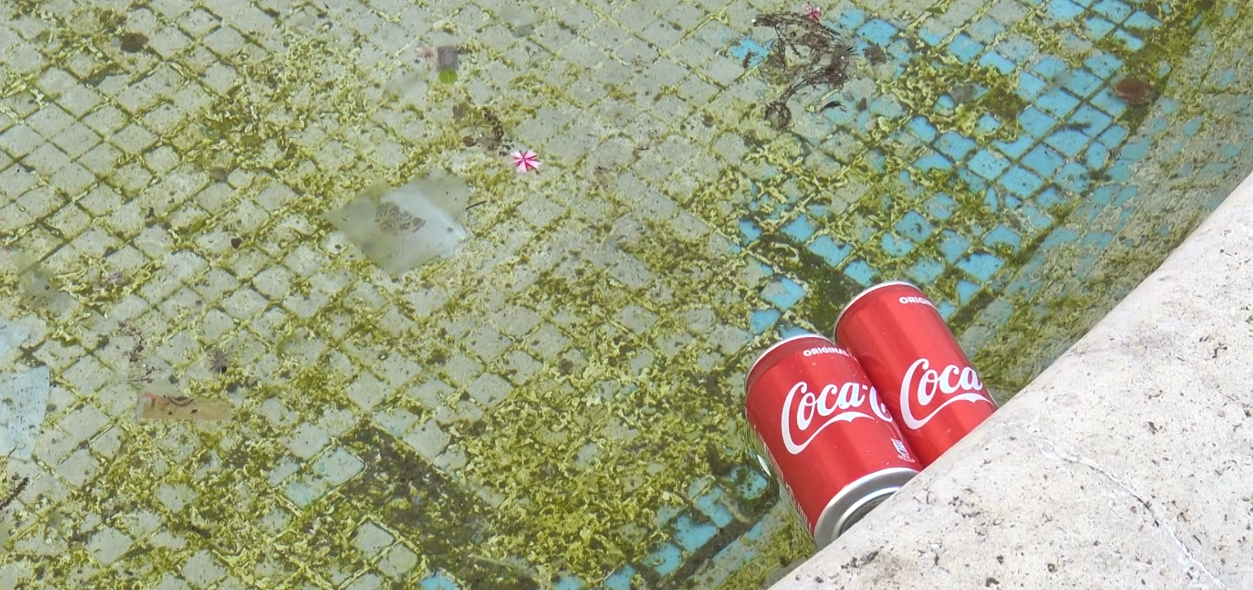 Benevento| Lattine come pesci nella vasca del Flans Te Alo