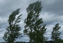 Danni climatici in Irpinia, l’appello di Allenza Cooperative della Campania