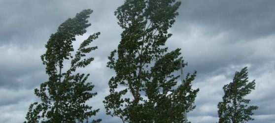 Danni climatici in Irpinia, l’appello di Allenza Cooperative della Campania